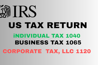 prepare and efile individual and business 1040, 1120, 1065 US tax returns