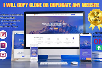 duplicate or redesign your wordpress website professionally