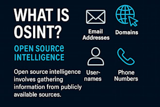 perform an osint investigation and provide a detailed digital footprint report