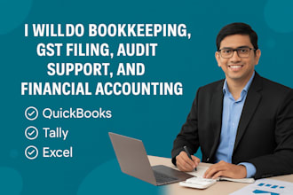 do professional bookkeeping, gst filing, audit support