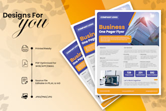 professional one pager, executive summary, teaser report, or marketing material