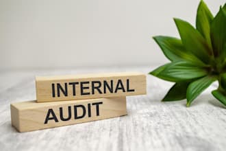 prepare or review internal audit reports and documentation