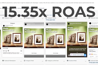setup and manage meta ads to maximize sales leads, shopify facebook instagram