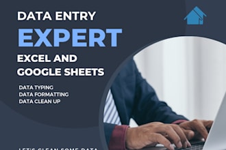 do data clean up, data formatting, data key in