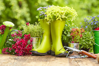 write SEO gardening, indoor plants, and pets articles and blogs