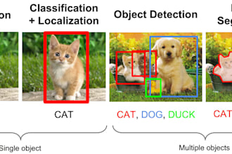 develop a deep learning model using pytorch or tensorflow
