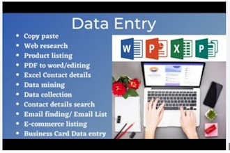 do excel data entry and web research, admin support, emails