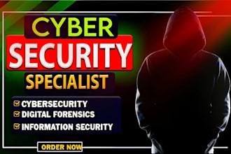 help you in cybersecurity assignment cryptography cloud computing vulnerability,