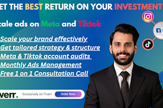setup and optimize facebook, instagram ads, tiktok ads and social media strategy