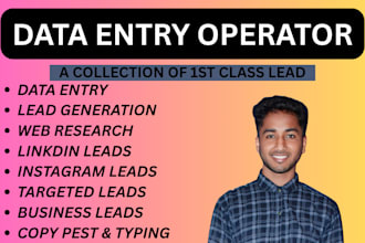 provide data entry, copy paste, and file conversion