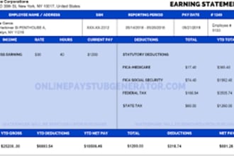 design  paystubs, paycheck, w2 and salary slips for contractor