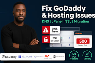 fix godaddy or wordpress website issues, hosting errors, domain and dns problems