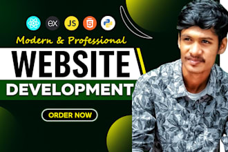 do custom responsive website as a full srack developer