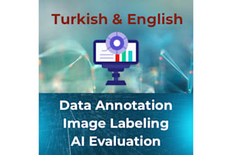 provide turkish, english data annotation