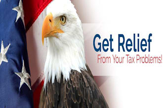 prepare and e file US tax returns 1040, 1065, 1120 accurately