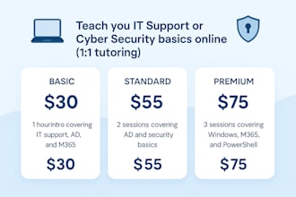 teach you IT support or cyber security basics