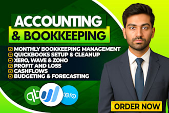 do wave zoho xero bookkeeping accounting, financial projection, analysis, report