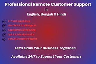 provide professional multilingual customer support as your virtual assistant
