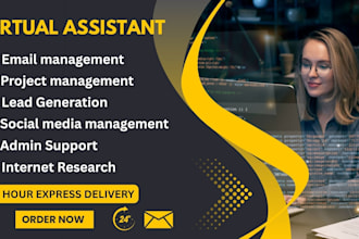 be your dedicated virtual assistant and web researcher