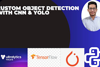 build custom object detection models using yolo for real time detection
