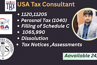 prepare or e file USA individual or business income tax and sales tax return