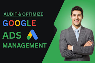 do google ads audit, optimization and campaign management