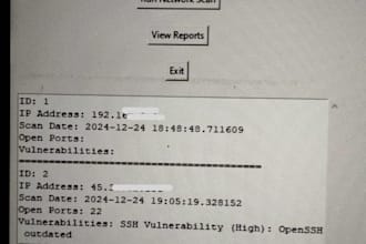 find vulnerabilities in you systems and give report