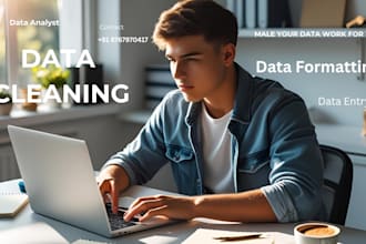 do data cleaning, formatting, summary of pivot table, data entry, etc