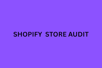 audit your shopify store
