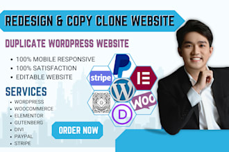 redesign, copy, clone, duplicate, or rebuild your wordpress website