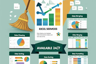 clean, format, sort, and organize excel data professionally
