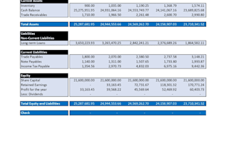 prepare financial projections or forecasts
