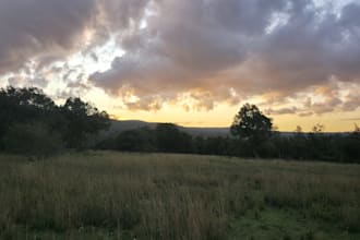 help you with visit to kenya