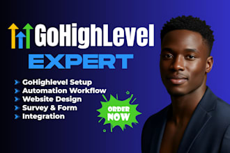 set up gohighlevel CRM with automation, website  integrations