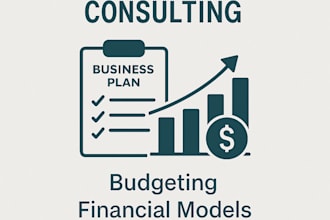 provide financial and business consulting for your company