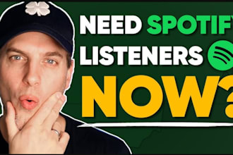 do spotify music promotion through effective ads campaign