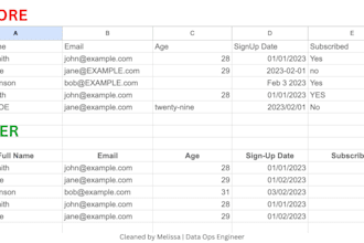enter, clean, format, and fix your google sheets, excel or CSV data