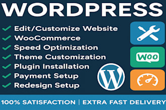 maintain, update, and provide full support for your wordpress website