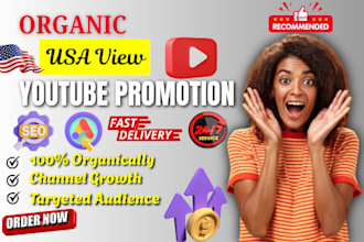 do organic USA youtube video promotion by using google ads and SEO optimization