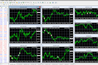 build your personal ea as if it were for a hedge fund