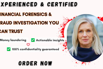 perform forensic accounting, detect financial fraud, financial analysis reports