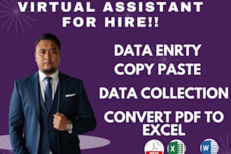 do excel data entry, copy paste, and convert pdf to excel