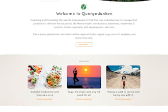 build world class  static  website top level design