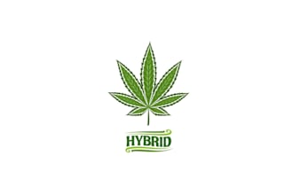 design cannabis, marijuana hemp logo with 14 hours