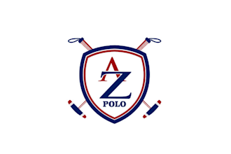 design minimal best quality logo for a polo team
