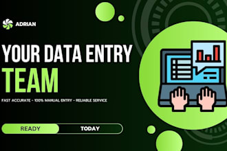 do accurate and fast data entry in excel, word, or google sheets
