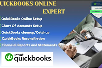 do setup, cleanup and bookkeeping in quickbooks online and xero