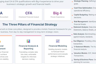 provide financial modeling, management and analysis services
