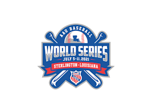 design awesome baseball world, volleyball, vintage logo just in 12 hours