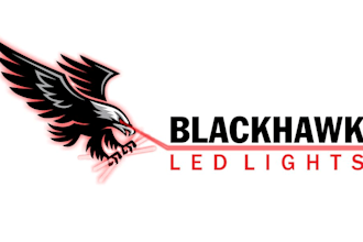create a professional mascot eagle logo design